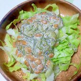 めかぶ納豆サラダ＋＋